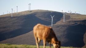 Galicia debe disminuir emisiones al menos un 65% en 2030 para cumplir el objetivo de COP26