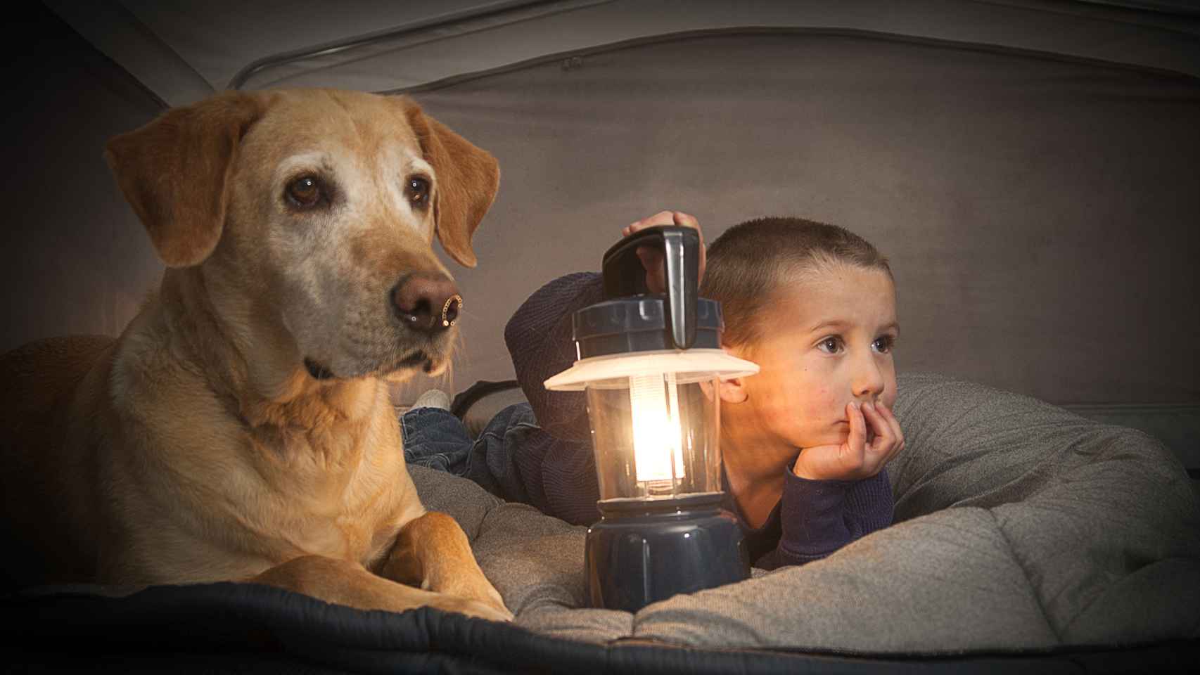 Un niño y su perro en un camping
