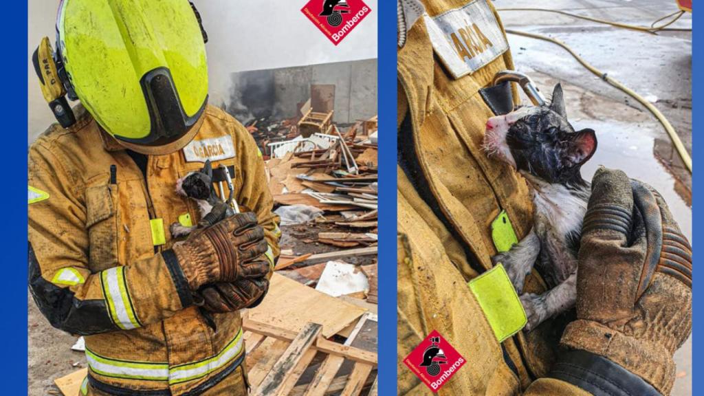 Imágenes del Consorcio Provincial de Bomberos de Alicante del incendio de Villena.