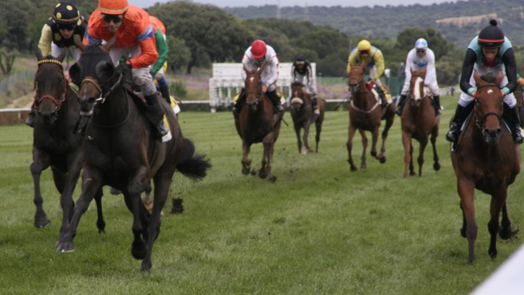 Carrera de caballos en un hipódromo