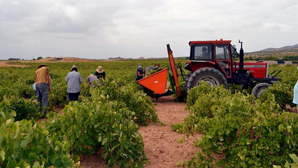 Foto: Cooperativa 'El Progreso'.