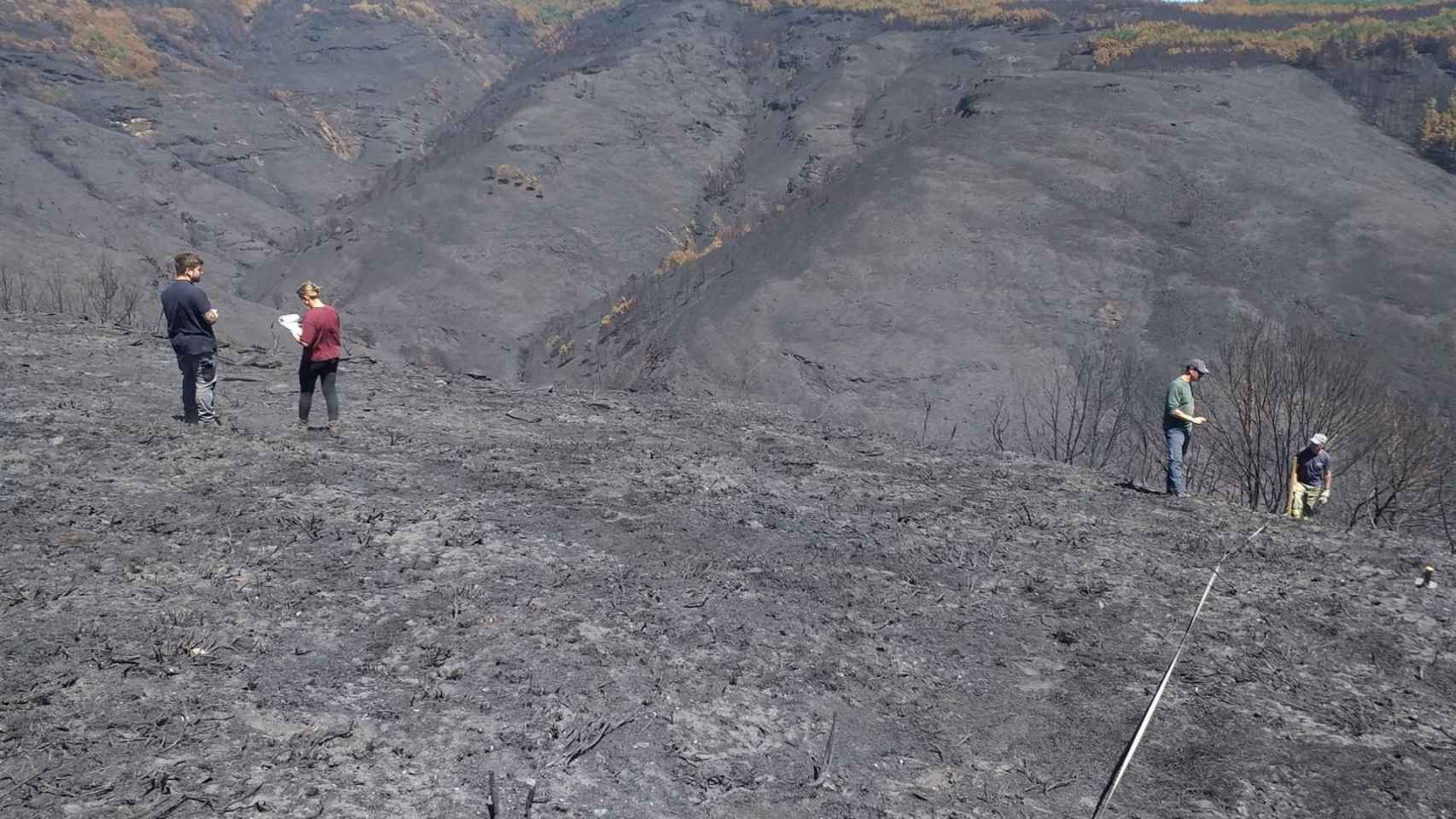 Técnicos del Centro de Investigación Forestal de Lourizán (Pontevedra) evalúan los daños en la Serra do Courel (Lugo) provocados por los incendios.