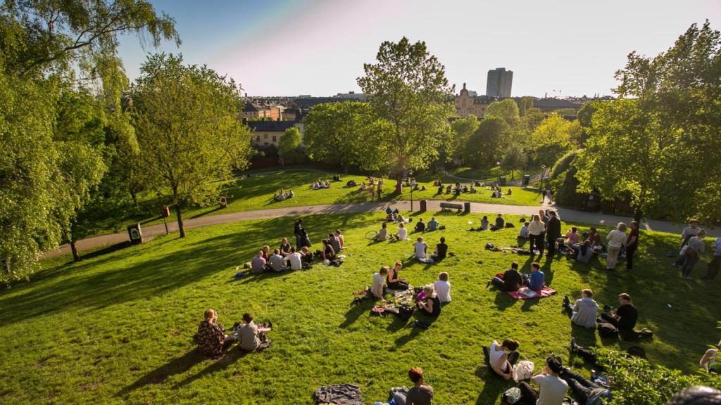 Un parque urbano