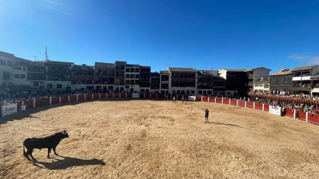 Festejo taurino en la Plaza del Coso de Peñafiel este miércoles