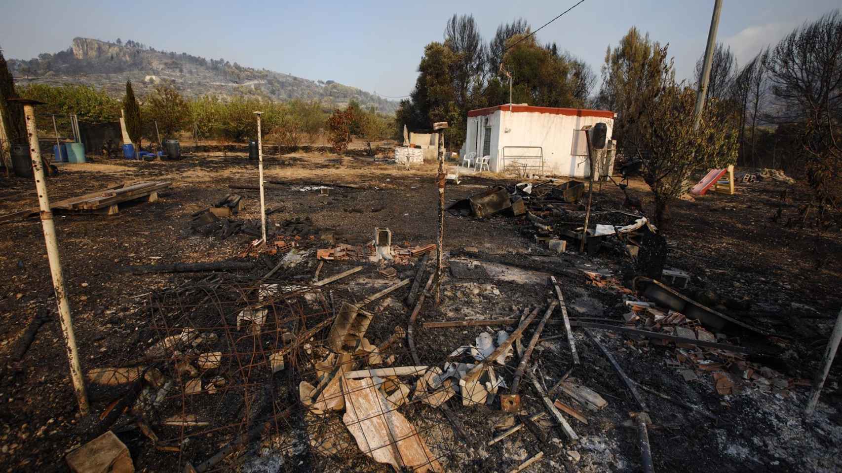 Zona calcinada del incendio de la Vall d'Ebo.
