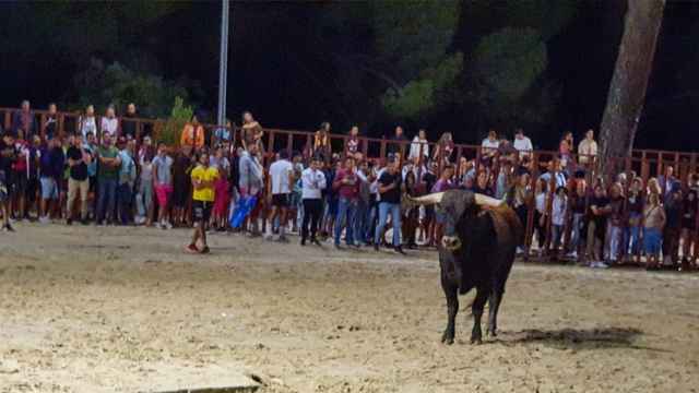 Un evento taurino en Viana de Cega