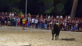 Un evento taurino en Viana de Cega
