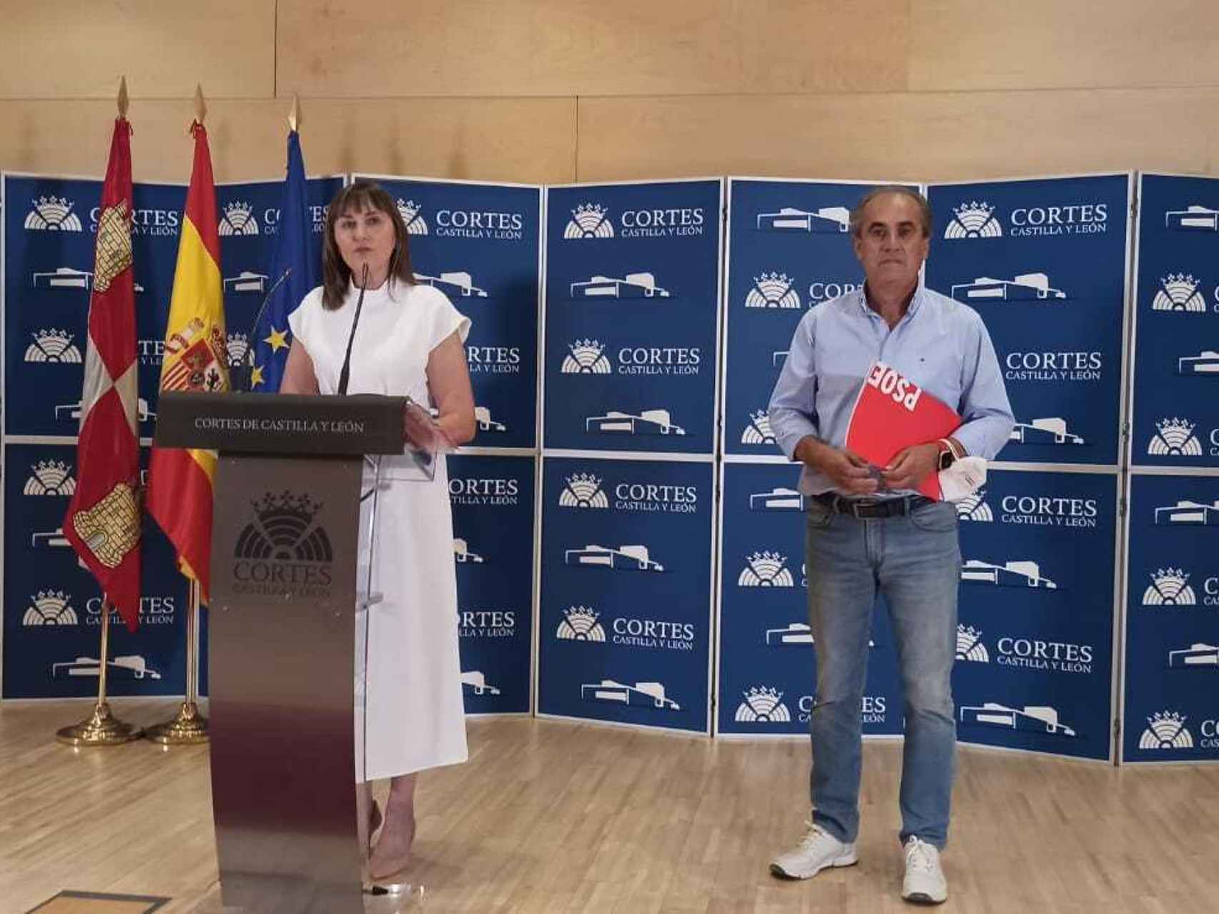 La portavoz de Función Pública del Grupo Socialista, Yolanda Sacristán, y el portavoz de Presidencia, Luis Briones, este viernes en las Cortes.