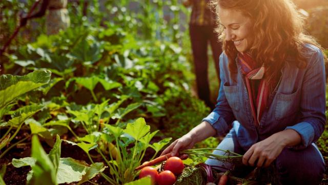 La otra economía gallega: la Economía Social