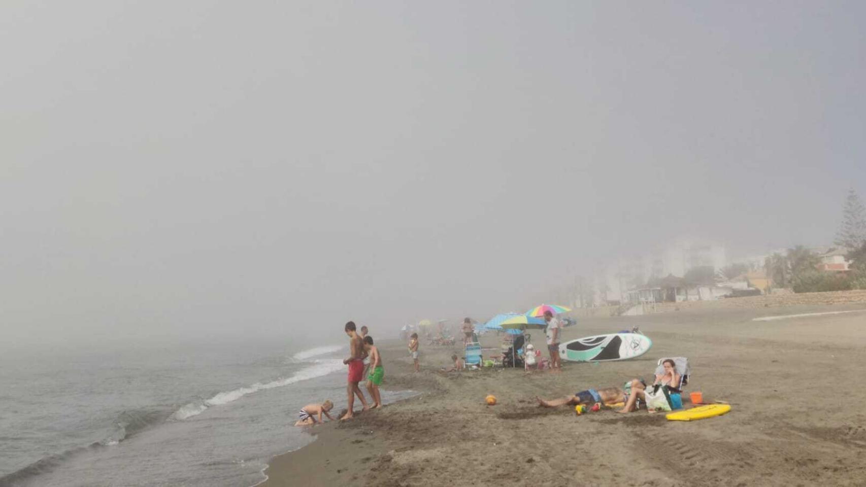 Taró en primera línea de playa.