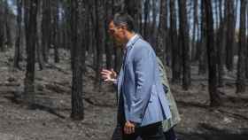 El presidente Sánchez, este lunes, en su visita a los montes arrasados por el fuego en Bejís (Castellón).