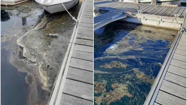 Contaminación de la aguas del muelle de Oza