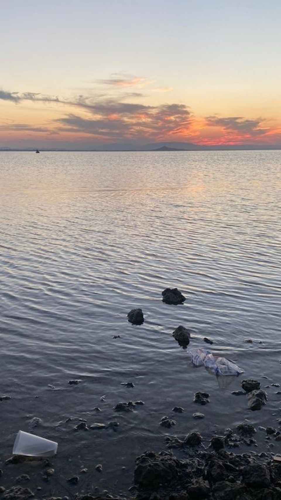 Unos vasos de plástico de un botellón en una orilla del Mar Menor.