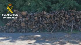 Toneladas de madera requisadas en Brión