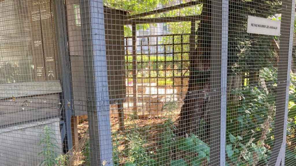 El gallinero instalado en la plaza que recuerda a 'La Nueve' en París.