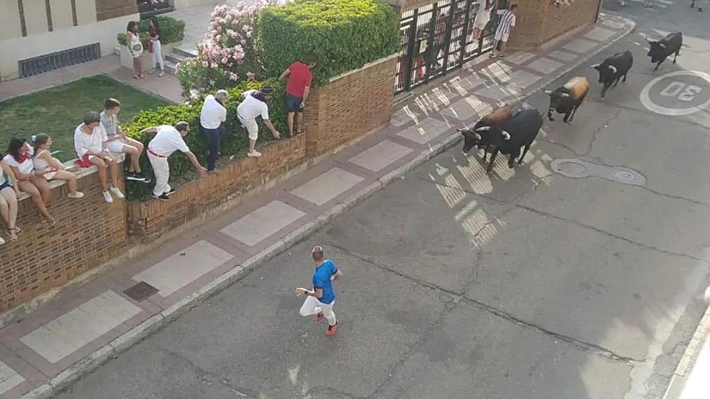 Encierro durante las Fiestas Populares de Íscar