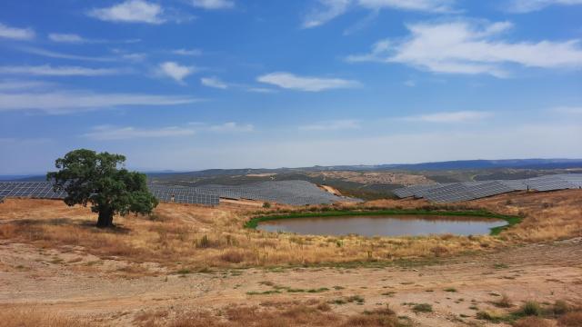 Una de las nuevas planta solares de Iberdrola en Extremadura.