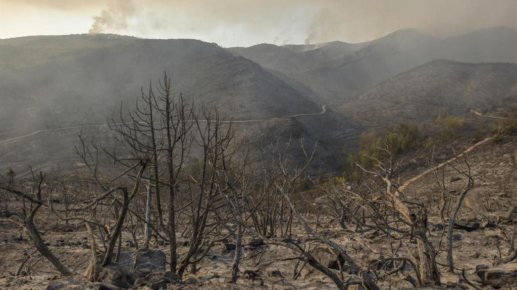 Paraje calcinado en Bejís (Castellón) el pasado 16 de agosto.