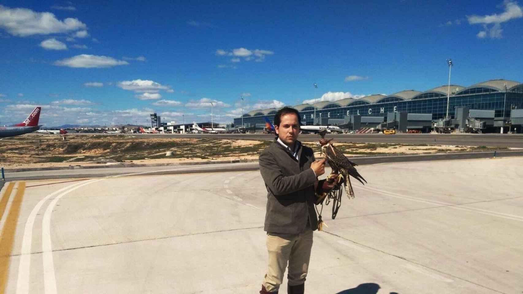 David Santacreu, en el aeropuerto Miguel Hernández de Alicante y Elche con su halcón.