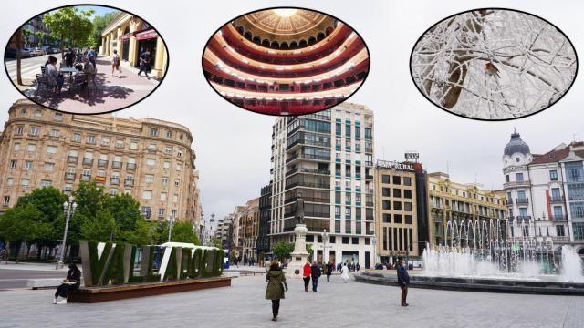 Valladolid con algunas de sus marcas de identidad