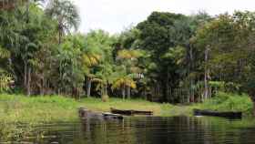 Embarcaciones en la orilla de un río de la Amazonía