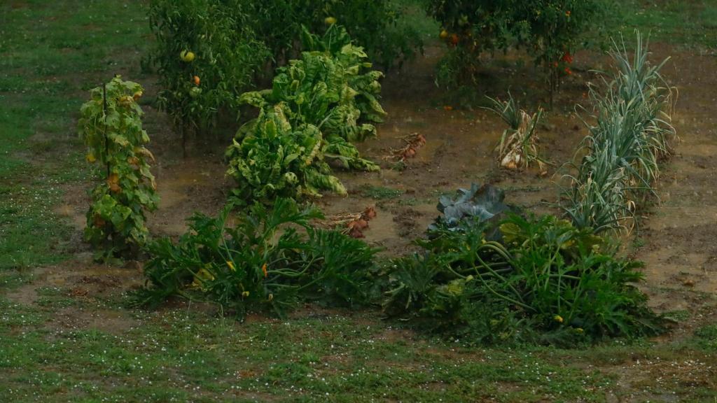 Intensa granizada en el Bierzo