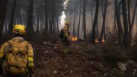 Varios bomberos trabajan en las tareas de extinción de los incendios de 2022 en la Sierra de la Culebra, en Zamora