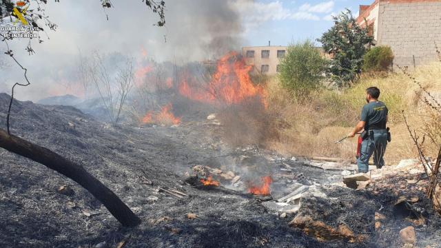 El momento de la actuación de uno de los agentes contra el fuego.