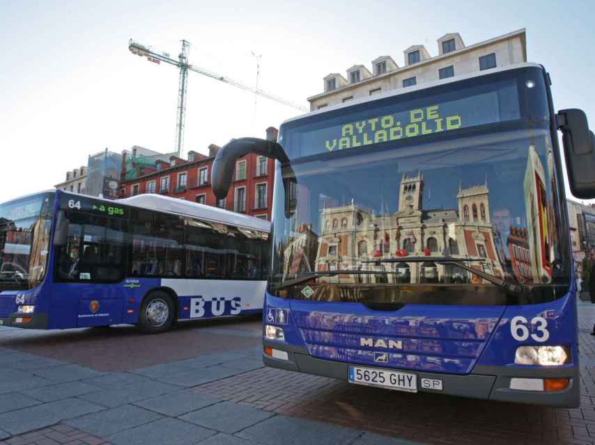 Autobuses de Auvasa en la Plaza Mayor de Valladolid.