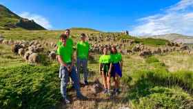 Los jóvenes pastoreando a las ovejas