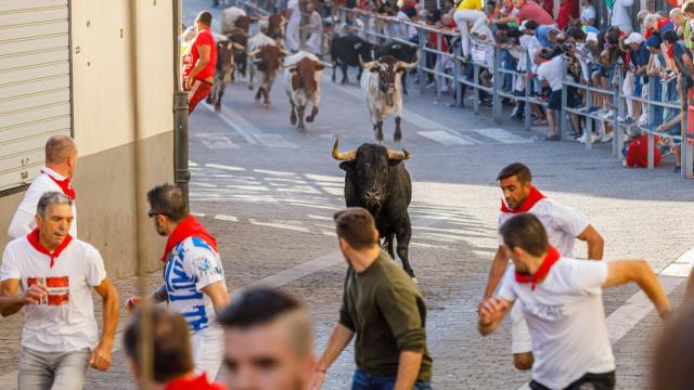 Bajada por la calle de la resina de las reses de la ganadería Sánchez Herrero