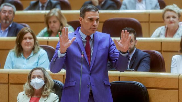 El presidente del Gobierno, Pedro Sánchez, en el Senado.