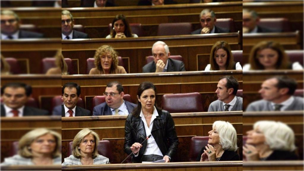 Diputada del PP por Pontevedra y presidenta de la Comisión de Asuntos Exteriores.