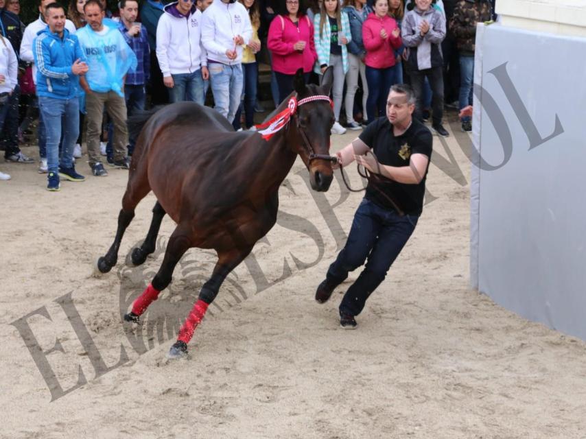 Juan C. S., el 1 de mayo de 2018, durante la presentación del caballo de su peña en la Plaza de El Hoyo de Caravaca de la Cruz.