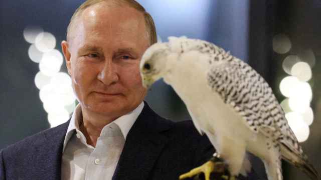 El presidente ruso Vladimir Putin durante una reunión con miembros del centro de cría de halcones de Kamchatka.