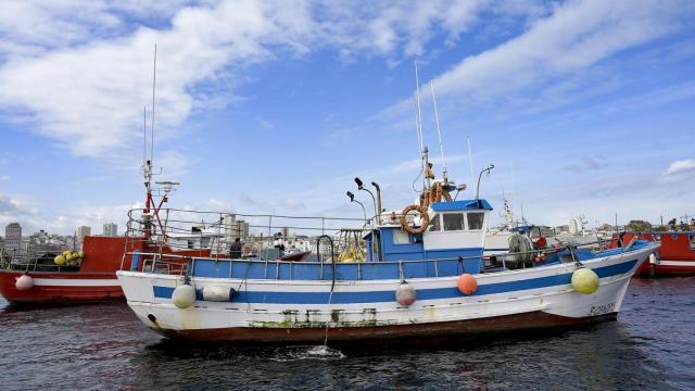 Varios barcos de flota artesanal.