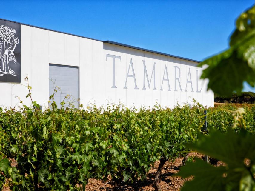 Bodegas Tamaral