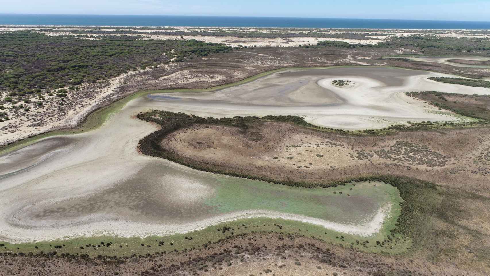 Doñana sufre su peor año de sequías sin precedentes: Las claves para entender su estado de alerta