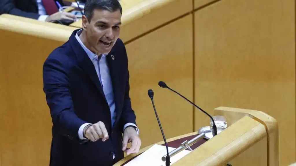 El presidente del Gobierno, Pedro Sánchez, en el Senado