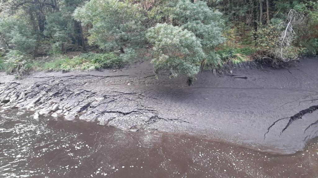 Arrastre de cenizas al río Pedras en A Pobra do Caramiñal