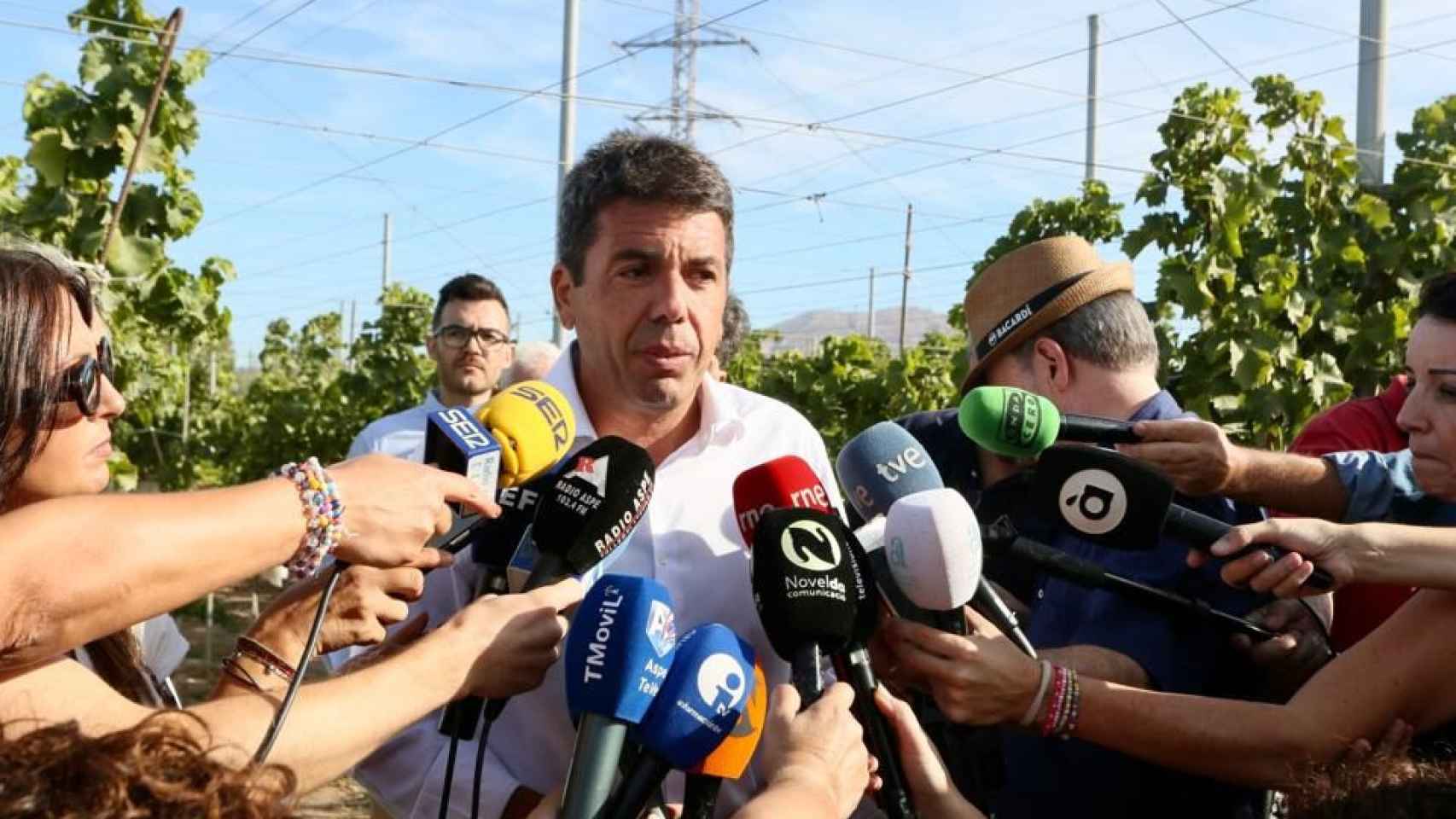 El presidente de la Diputación de Alicante, Carlos Mazón, ante los medios de comunicación.
