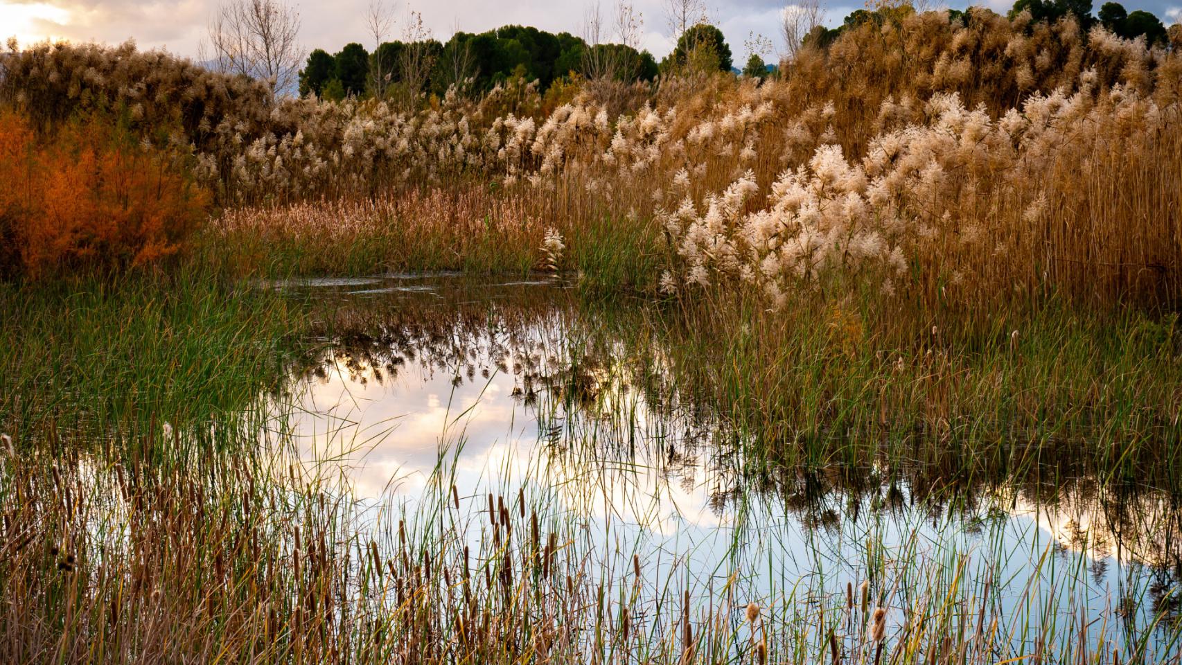 Albufera de Gayanes, Alicante.