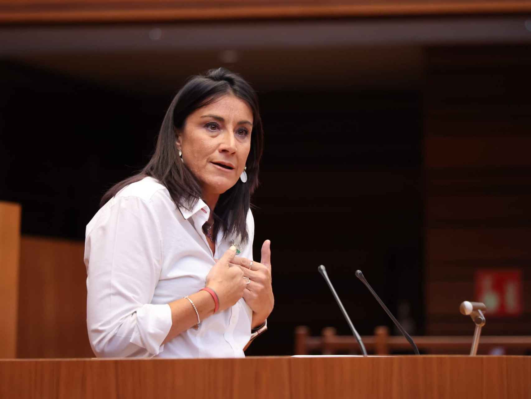 La procuradora socialista Ana Sánchez durante su intervención en el pleno de este miércoles en las Cortes.