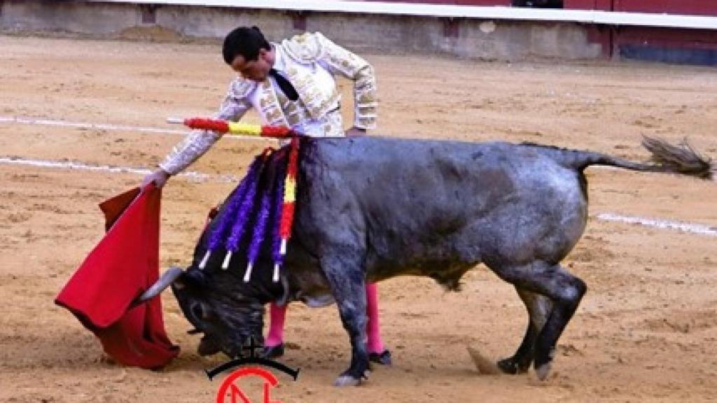Daniel Luque en un derechazo a un toro de Adolfo Martín el pasado 31 de agosto en Palencia
