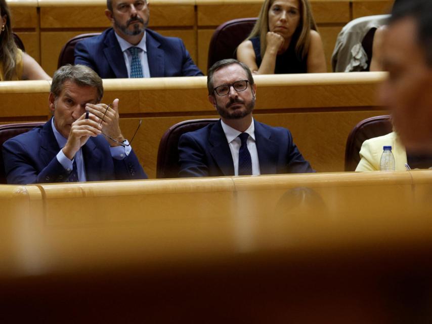 Feijóo y Maroto, durante la comparecencia de Sánchez en el Senado.