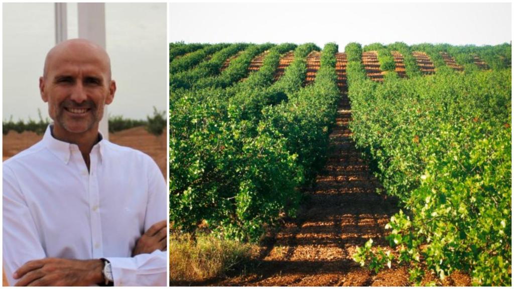 Juan Gallego, durante la construcción de la planta, y un cultivo de pistachos.