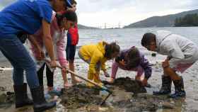 Cincuenta niños y niñas descubren los secretos de la pesca en Redondela (Pontevedra)