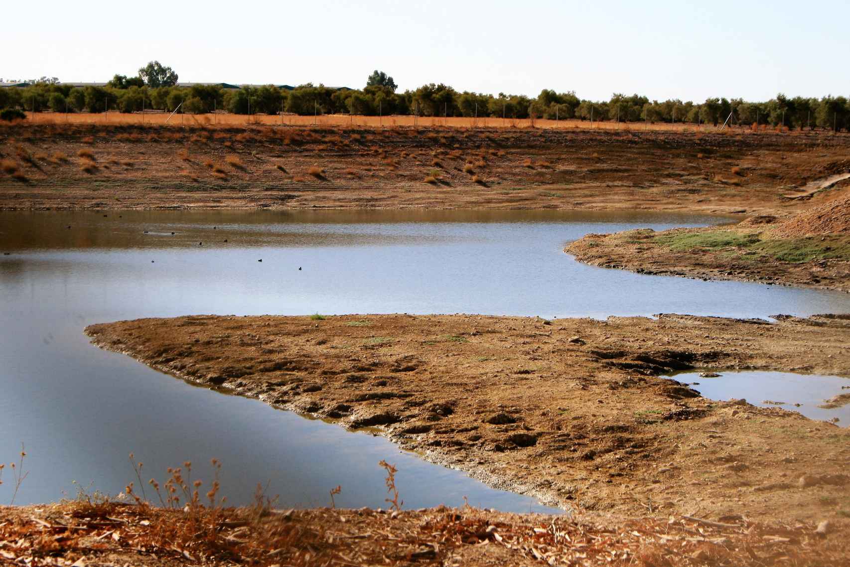La balsa de riego cerca del olivar de Miguel Fernández, casi vacía el 7 de septiembre de 2022.