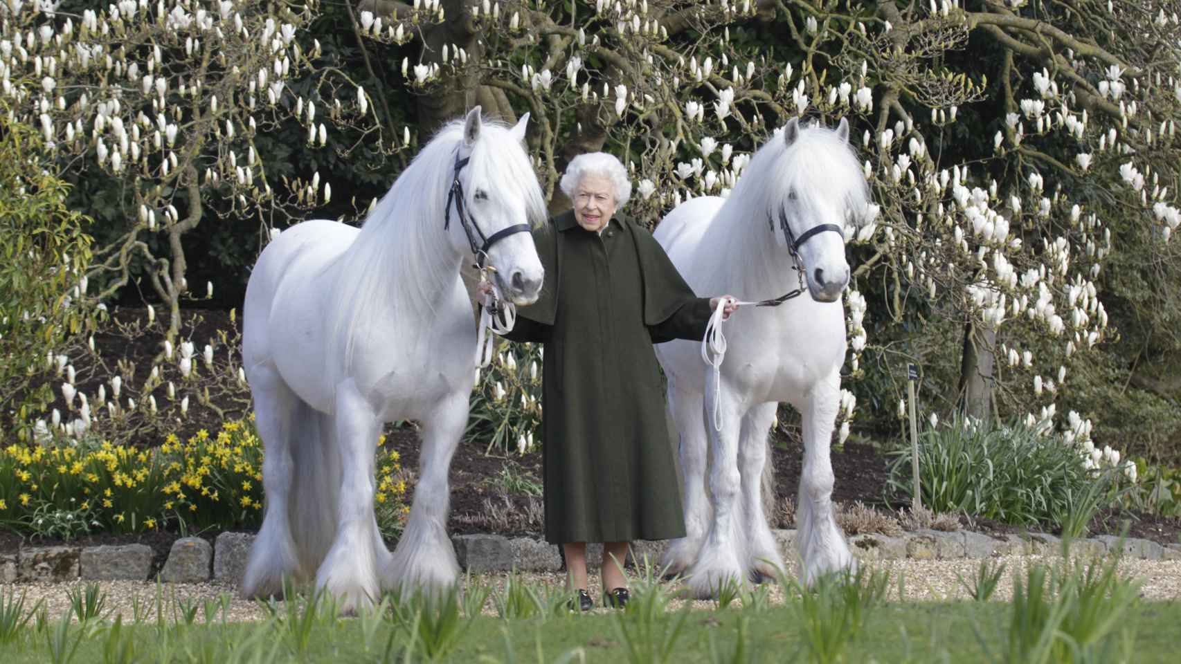 La soberana con sus dos caballos favoritos en los terrenos de Windsor.