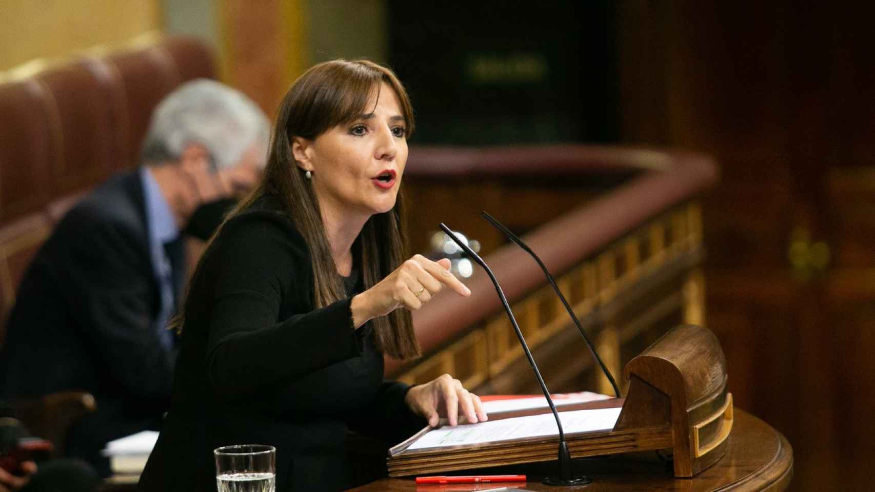 La diputada murciana del PSOE Marisol Sánchez, encargada de defender la 'Ley Sara', en una de sus intervenciones en el Congreso de los Diputados.